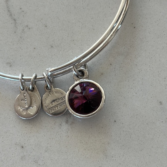 Alex and Ani Birthstone 5 bangles bracelets silver pink diamond rhinestone blue - Picture 9 of 14